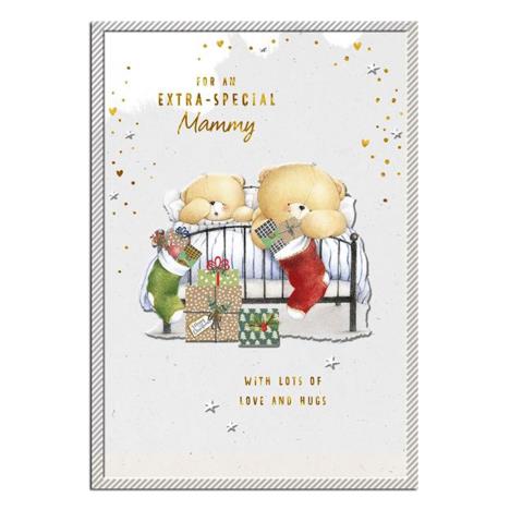 Extra-Special Mammy Forever Friends Christmas Card